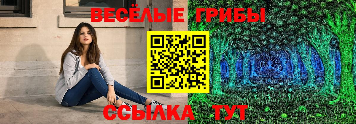 Кизилюрт  Псилоцибиновые грибы прущие грибы  Галлюциногенные грибы Psilocybine cubensis  Вход с VPN 